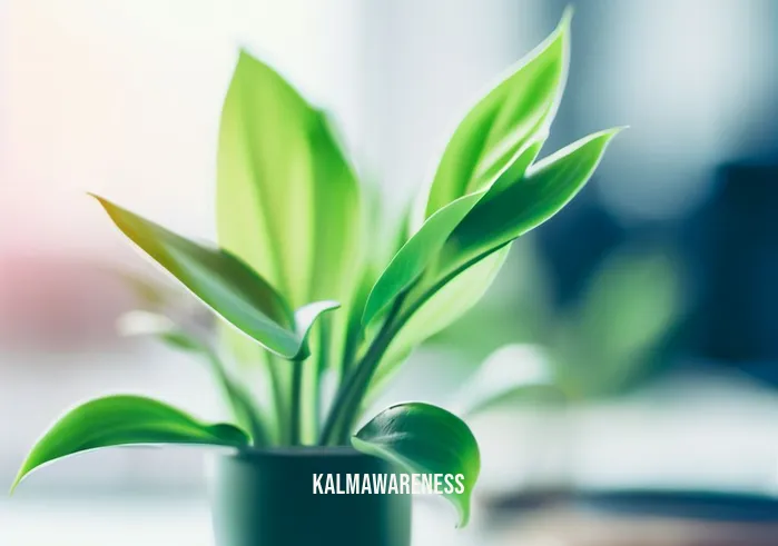 crspace _ Image: A close-up of a green indoor plant thriving on a clean desk, representing a fresh and revitalized workspace.Image description: A vibrant green plant symbolizing the rejuvenation of the office space, now a harmonious and pleasant environment.