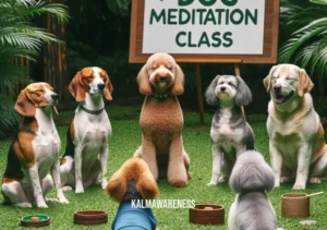the mindful dog _ A group of various dogs, including a beagle, a poodle, and a labrador, sitting in a circle in a lush park. Each dog has its eyes closed and seems to be in a state of meditation, with a nearby sign reading "Dog Meditation Class". The scene is tranquil and harmonious, reflecting a communal sense of mindfulness among the dogs.